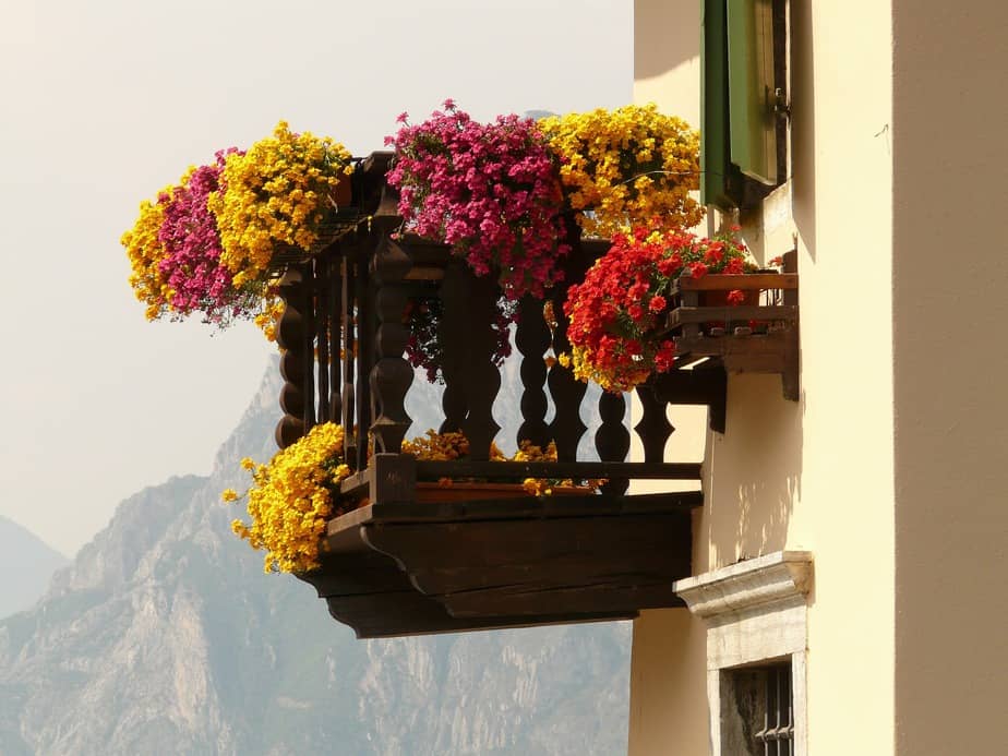 Auf dem Balkon viele Pflanzen - kein Problem!