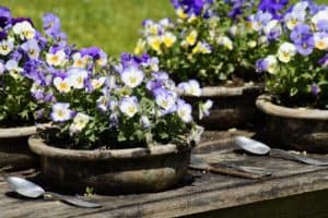 9 wichtige Dinge im Garten wie bspw. ein Pflanztisch