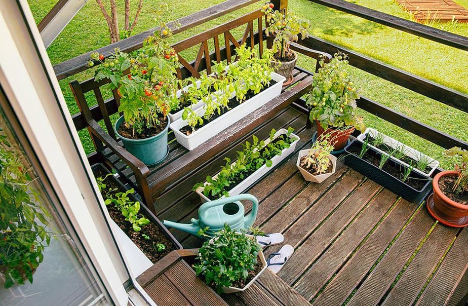 Kräuter Anbau Balkon Thema BIOSUD.DE